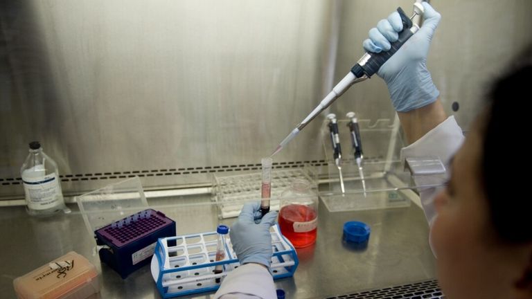 طفيلي الملاريا "المتصورة المنجلية"، ينقل إلى الإنسان عبر لدغات البعوض