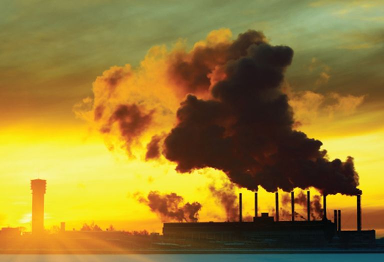 العالم يحتاج لإلقاء مزيد من الضوء على الأزمات البيئية