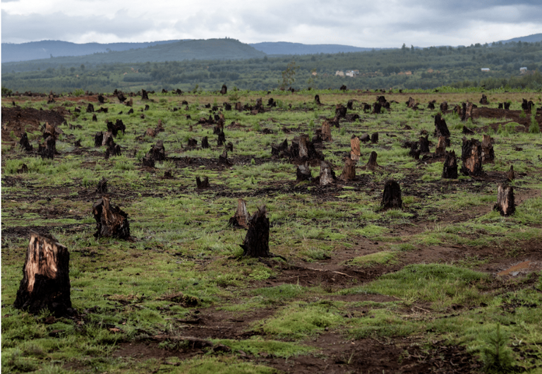 العالم يحتاج لإلقاء مزيد من الضوء على الأزمات البيئية