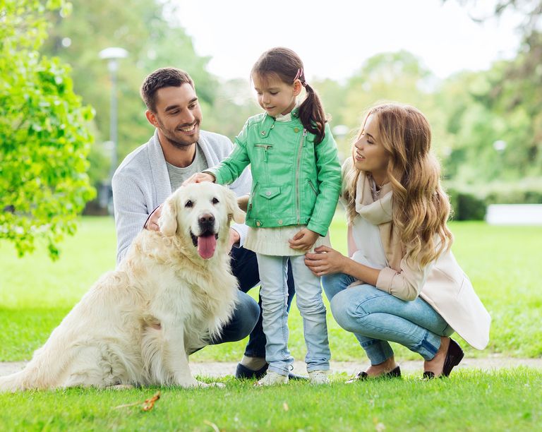 تحذير من خطر السالمونيلا التي يمكن تنتقل للبشر من الكلاب المنزلية