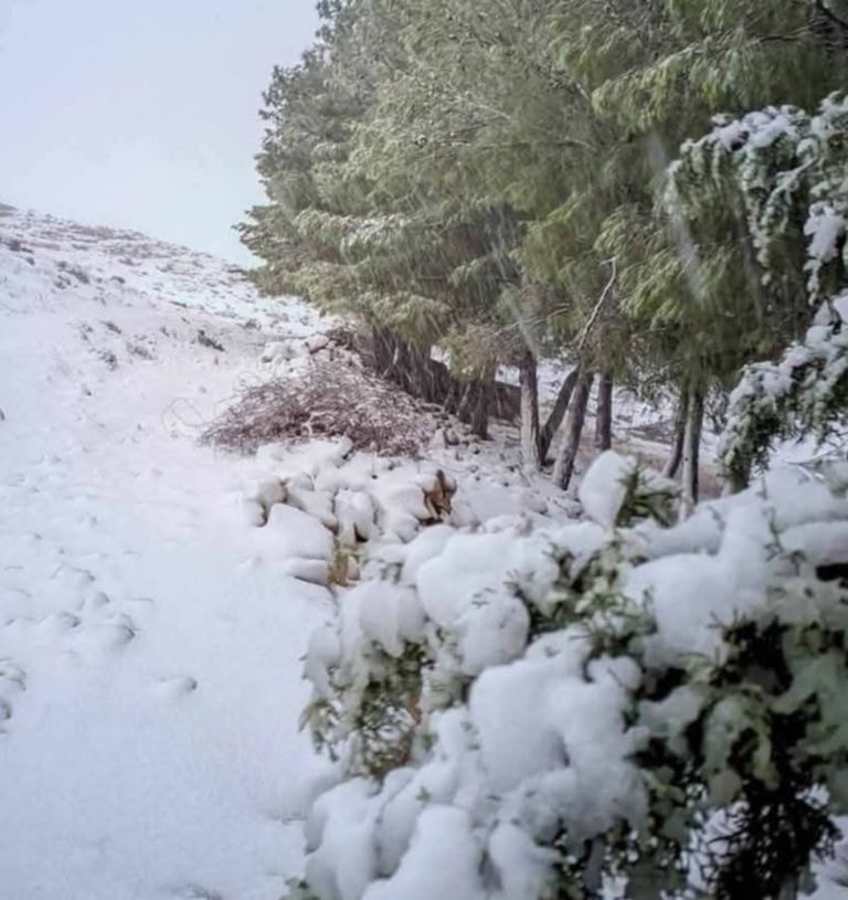 الثلوج بمدينة عين دراهم