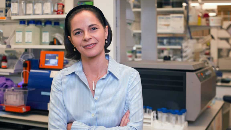 الشيخ محمد بن راشد آل مكتوم