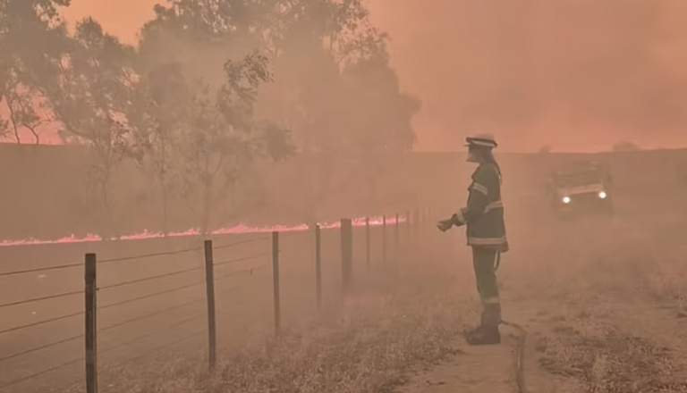 الحرائق في غابات فيكتوريا