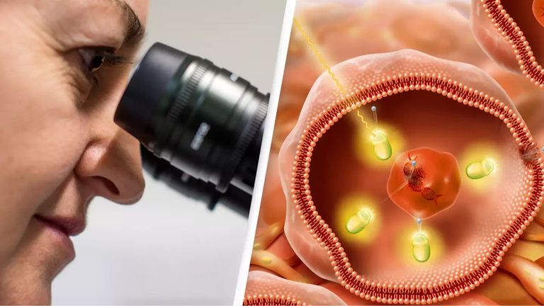 آخر أخبار العلوم في عام 2024