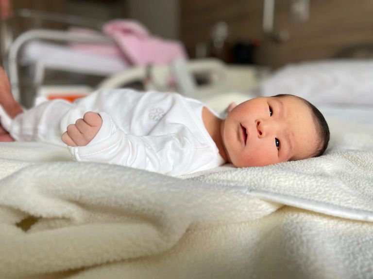 آخر أخبار العلوم في عام 2024