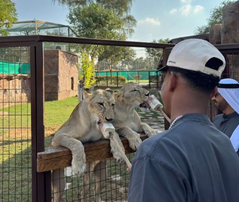 لامين يامال