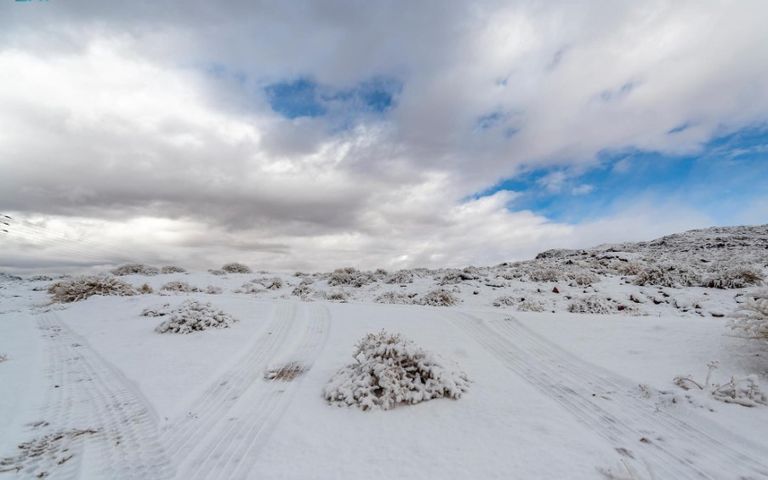 ثلوج في تبوك