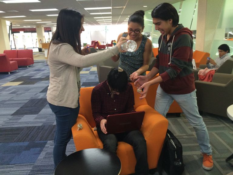 أضرار التنمر تصل إلى كيمياء الدماغ