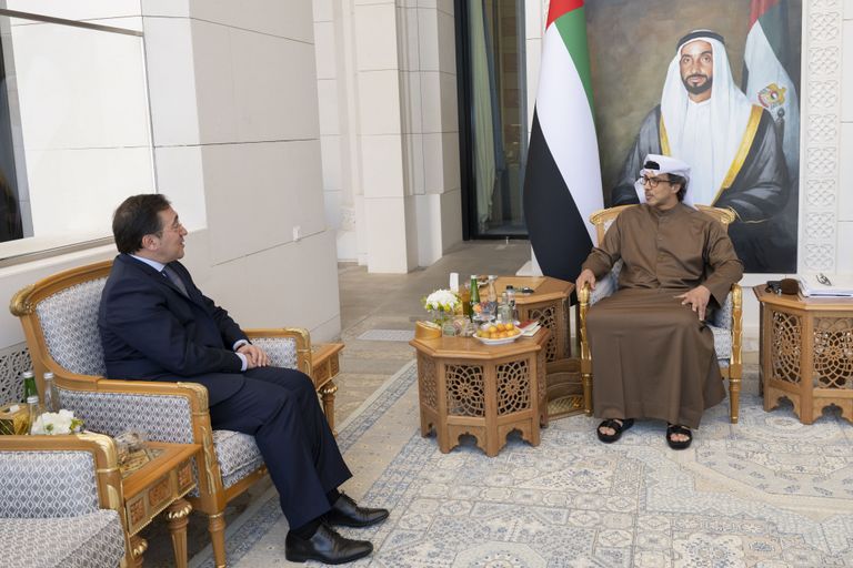 الشيخ محمد بن زايد آل نهيان رئيس دولة الإمارات