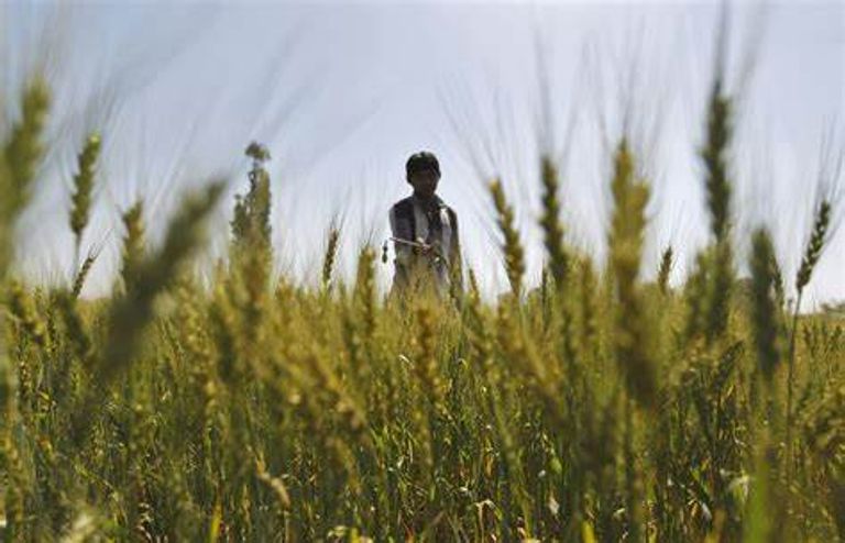 إصلاح النظام الغذائي العالمي ضرورة حتمية لكوكب الأرض التوجه لنظم الزراعة المستدامة ضرورة لإصلاح النظلم الغذائي العالمي