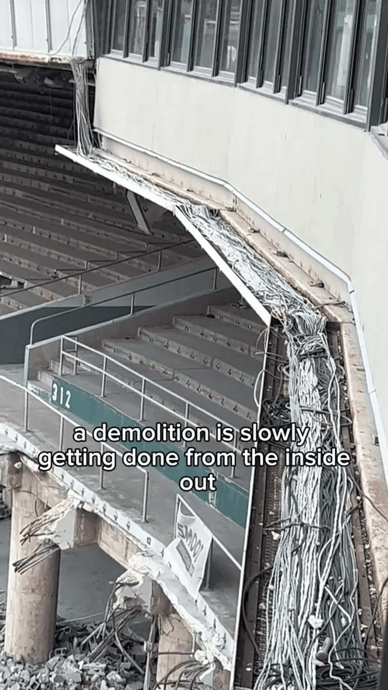 مراحل إزالة الملعب السعودية وهولندا في كأس العالم 1994