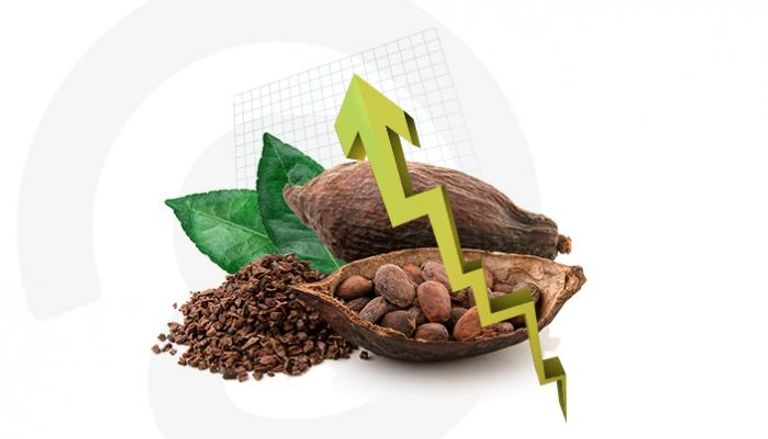 قفزة بأسعار الكاكاو عالمياً