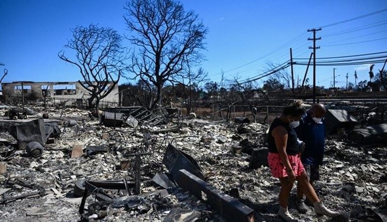 زلالزل في 2024 - أرشيفية