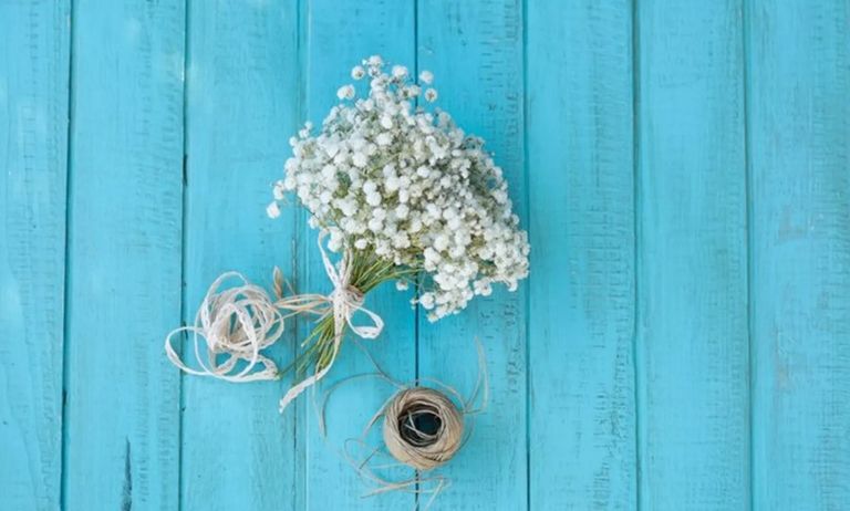 شاب يقدم هدية لفتاة في عيد الحب