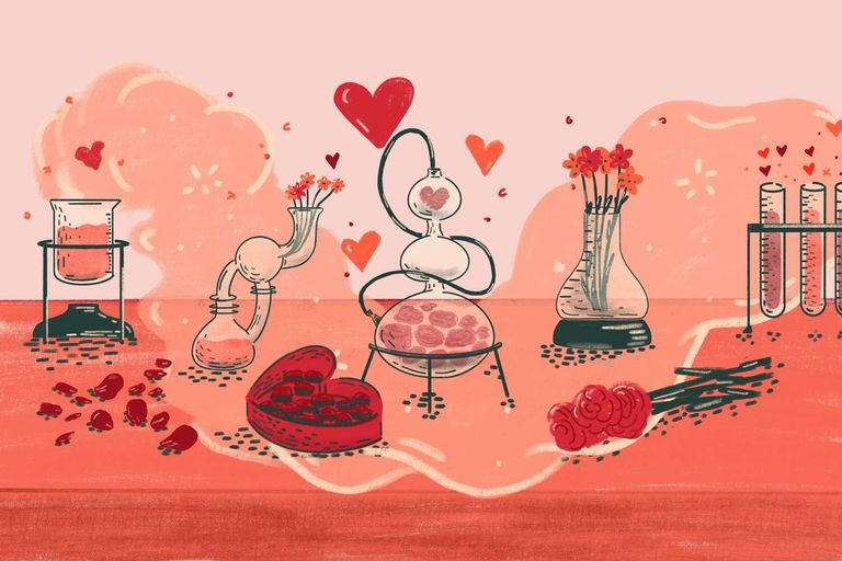 4 مواد تتحكم في كيمياء الحب- أرشيفية