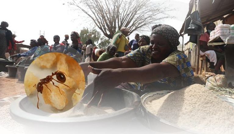 الملايين في نيجيريا يعانون من الجوع - رويترز