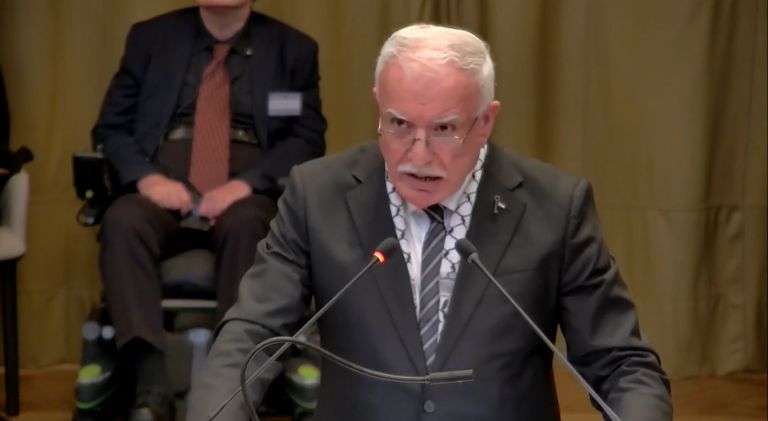 رياض المالكي متحدثا أمام محكمة العدل الدولية مظاهرة مؤيدة للفلسطينيين أمام مقر محكمة العدل الدولية - رويترز