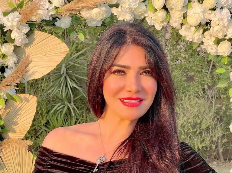 لقاء سويدان وحسين فهمي - أرشيفية