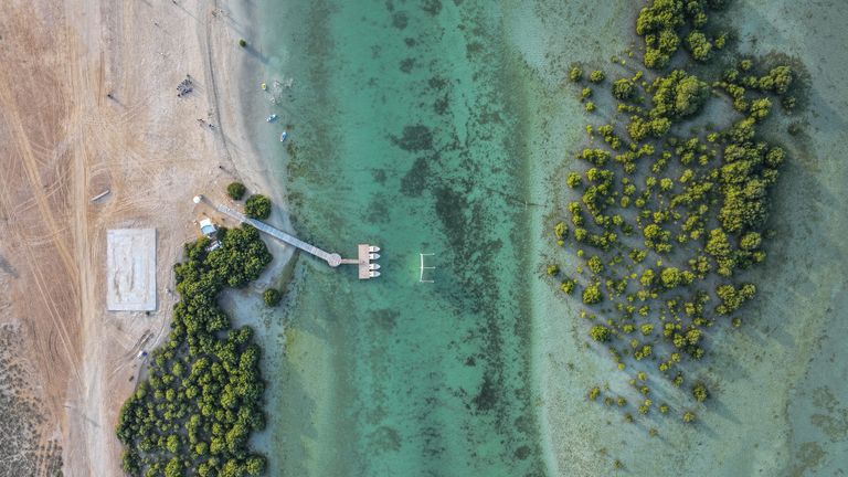 أم القيوين.. وجهة مفضلة تتيح لزوارها خيارات سياحية متنوعة أم القيوين.. وجهة مفضلة تتيح لزوارها خيارات سياحية متنوعة