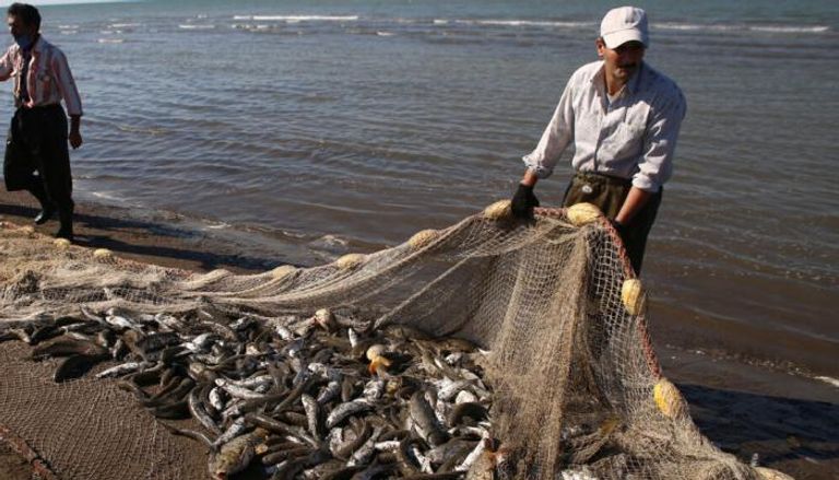 الصيد في السواحل المصرية