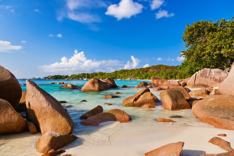 شاطئ  Praia da Falésia في البرتغال