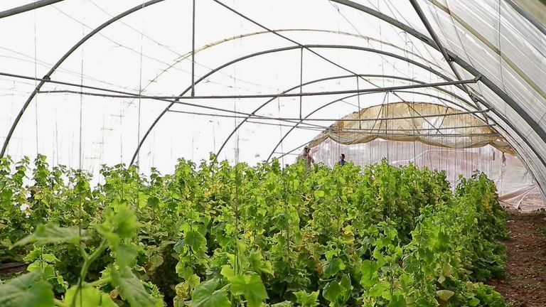 استخدام «عشوائي» يهدد التربة الزراعية