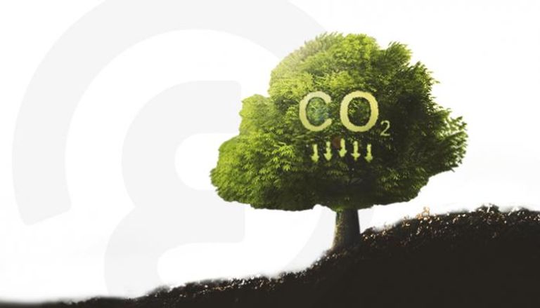 ما ينبغي معرفته عن أرصدة الكربون