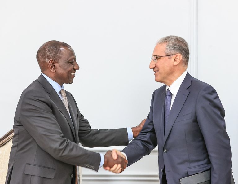 جانب من لقاء الرئيس الكيني مع وزير البيئة والموارد الطبيعية الأذربيجاني