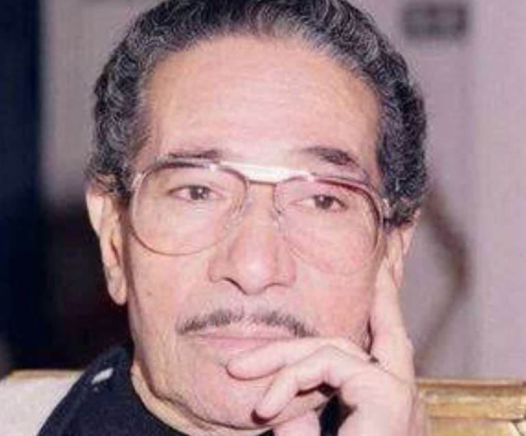 محمد الموجي
