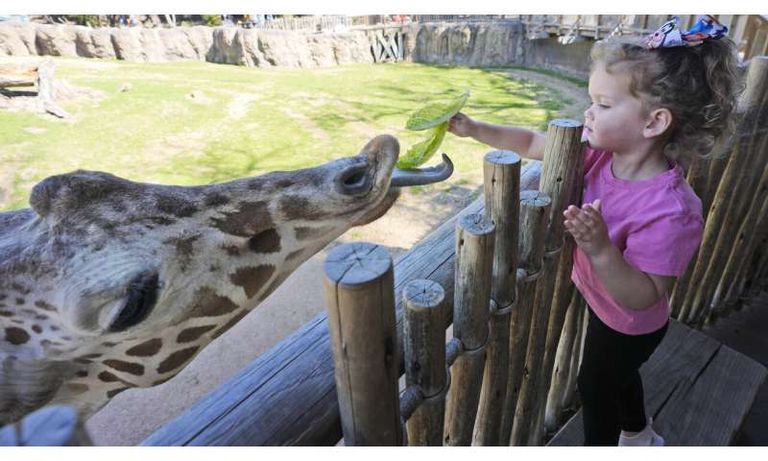 الباحثون اكتشفوا سلوكيات حيوانية غريبة خلال كسوف 2017