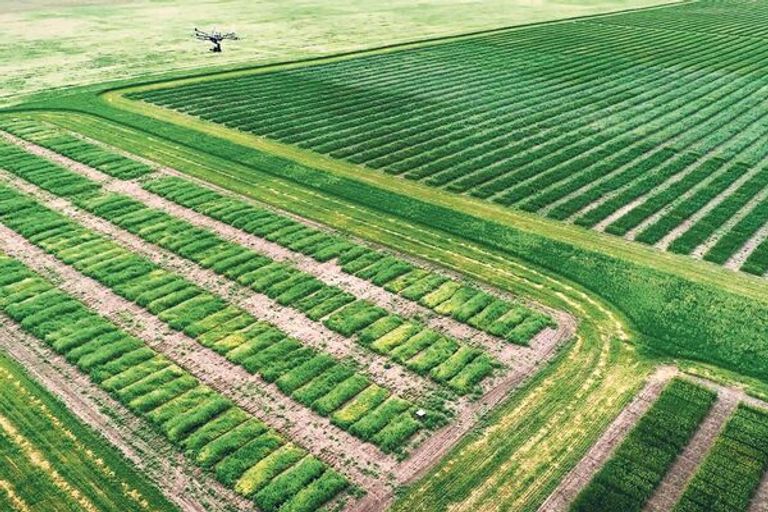 الحفاظ على كوكب الأرض مهمة الجميع