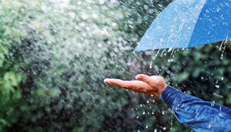 هطول الأمطار عنصر حاسم في دورة الماء