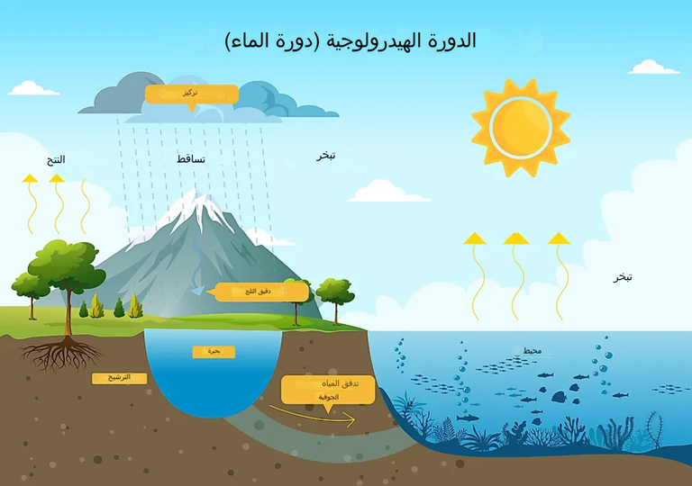 هطول الأمطار عنصر حاسم في دورة الماء - تعبيرية