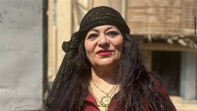 الفنانة فريدة سيف النصر