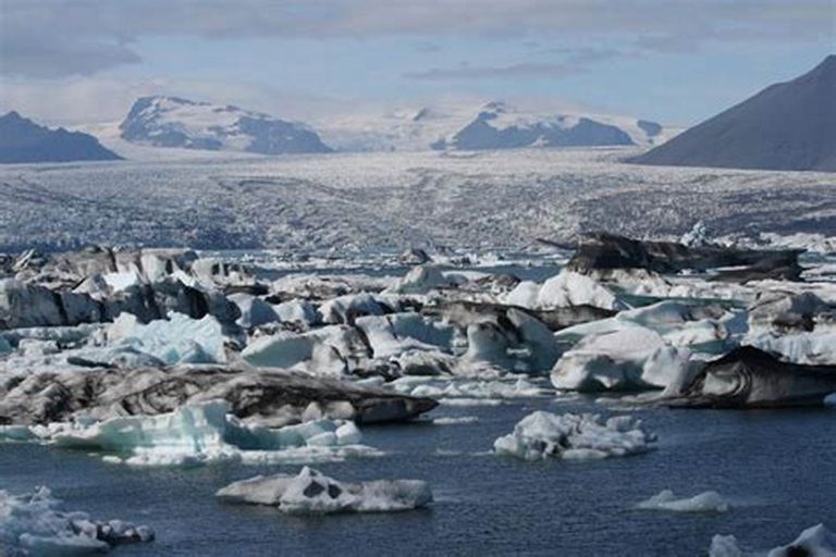 يؤثر الاحتباس الحراري على أنماط هجرة الحيوانات