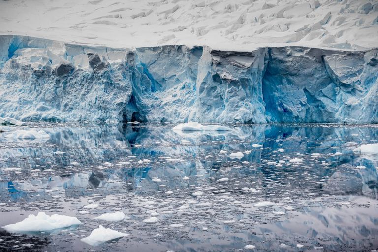 يؤثر الاحتباس الحراري على أنماط هجرة الحيوانات