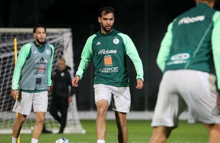 محمد أمين توغاي فلاديمير بيتكوفيتش، مدرب منتخب الجزائر