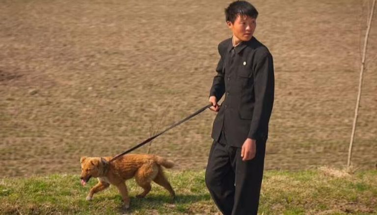 مواطن كوري شمالي برفقة كلبه الأليف