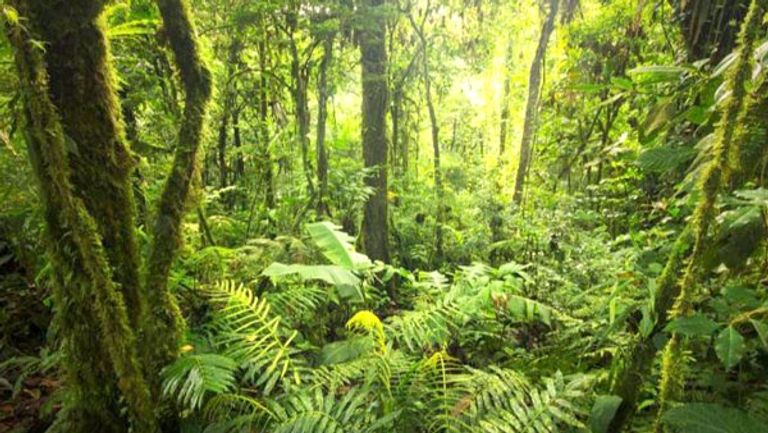 شعار اليوم العالمي للمياه 2024 - المياه من أجل السلام