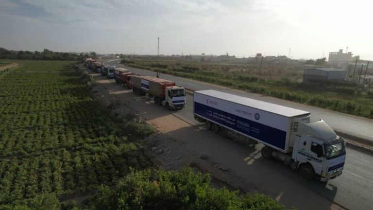 المساعدات الإماراتية إلى اليمن