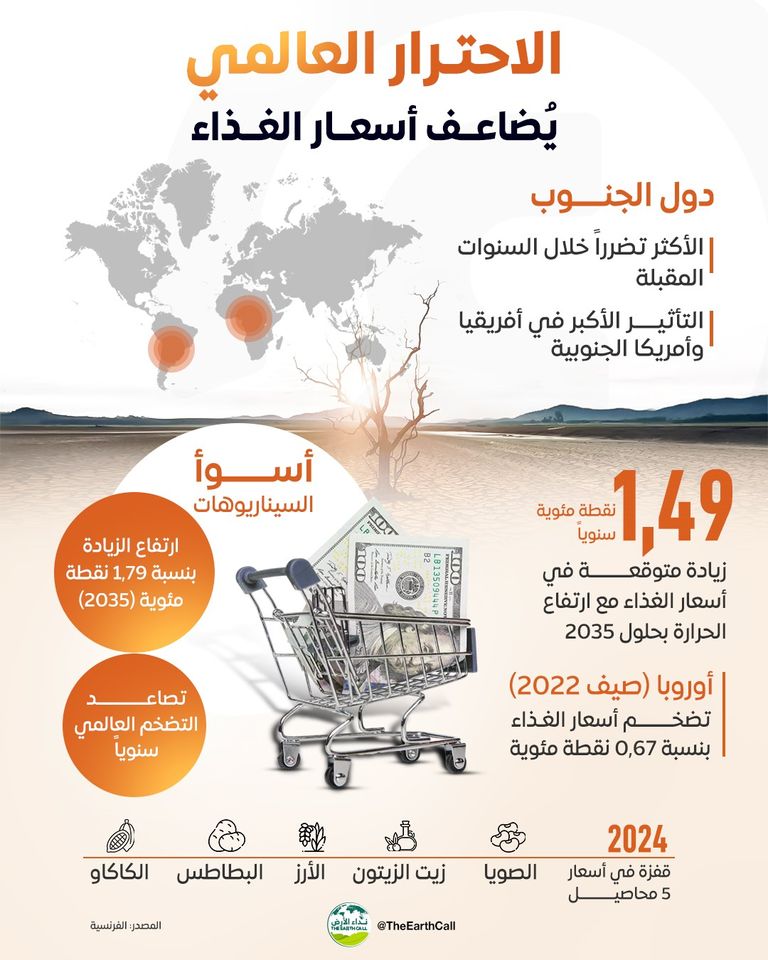 ارتفاع أسعار الغذاء- تعبيرية