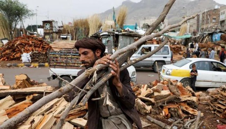 الحرب والاحتطاب يهددان غابات اليمن