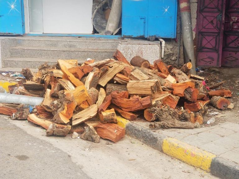 الحرب والاحتطاب يهددان غابات اليمن