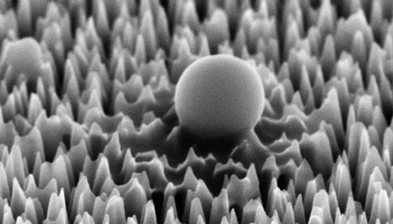 صورة مكبرة لخلية فيروس على سطح السيليكون النانوي