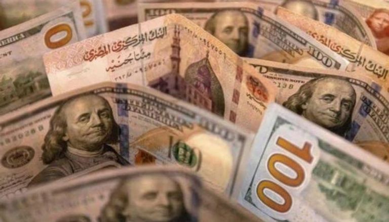 الدولار والجنيه المصري 