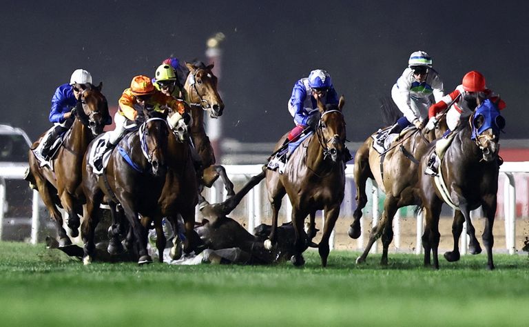 كأس دبي العالمي 2024