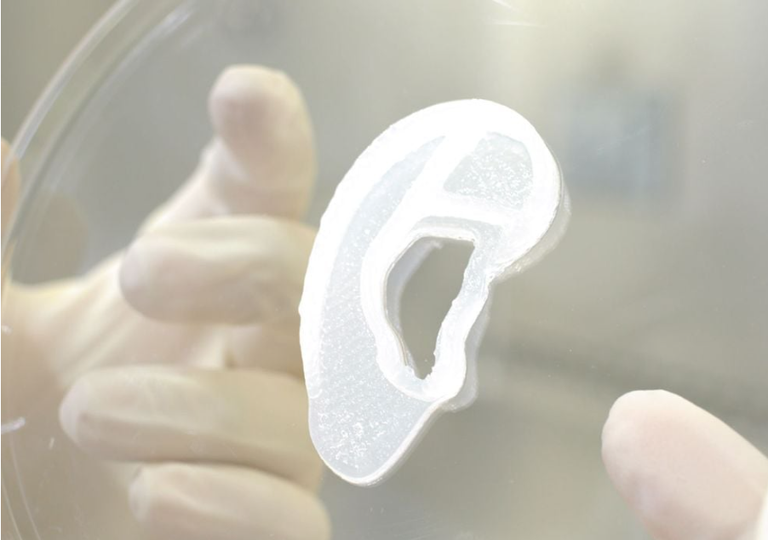 نسخة طبق الأصل من الأذن البشرية