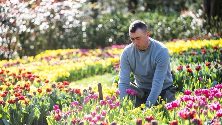 حديقة كوكينهوف حديقة كوكينهوف