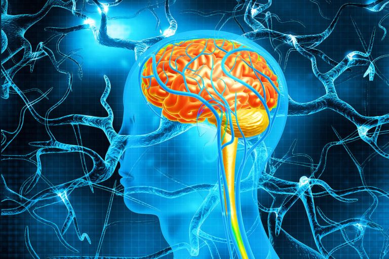 كشف الآليات الكامنة وراء التعلم المخيخي