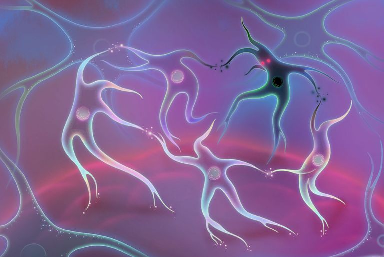 كشف الآليات الكامنة وراء التعلم المخيخي